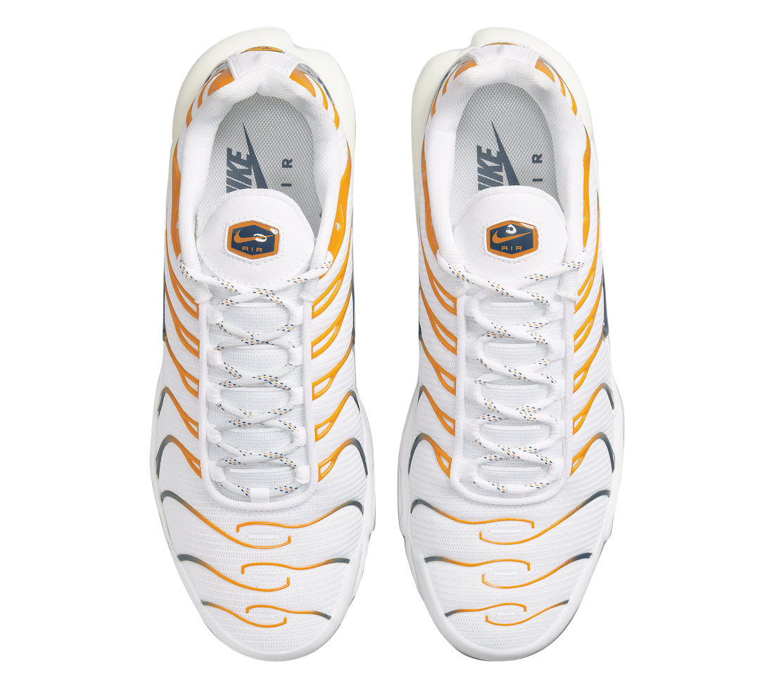 Air Max Plus “Hiking”