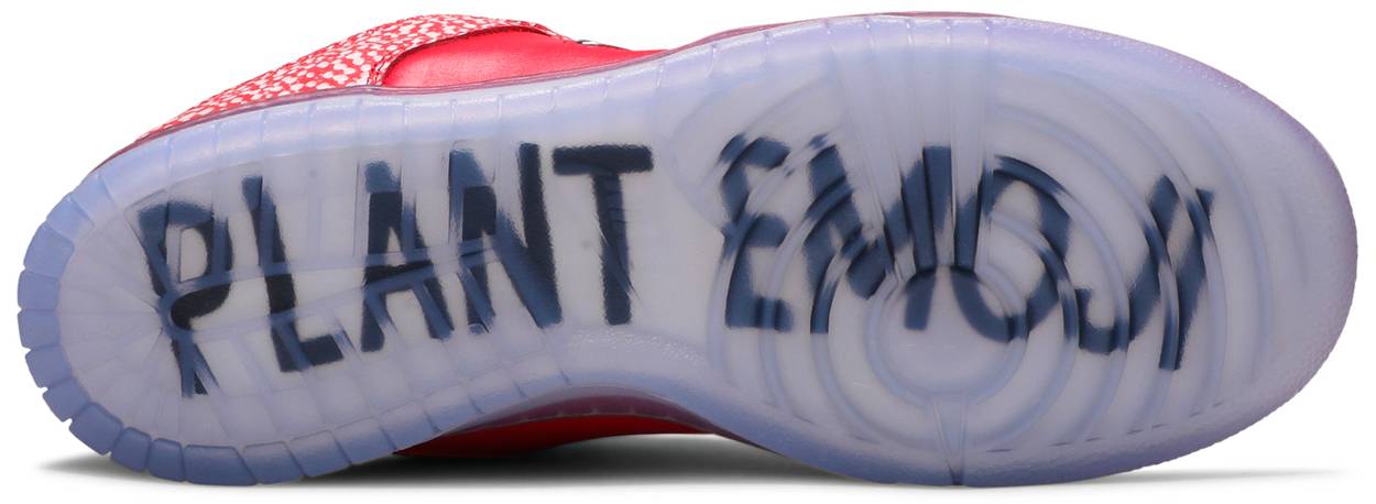 Stingwater x Dunk Low SB 'Magic Mushroom'